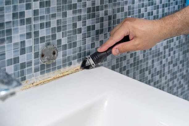 Best Black Mold Removal  in Magna, UT