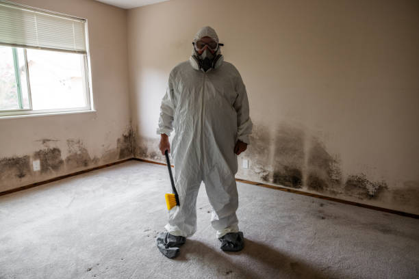 Best Local Mold Removal Service  in Magna, UT