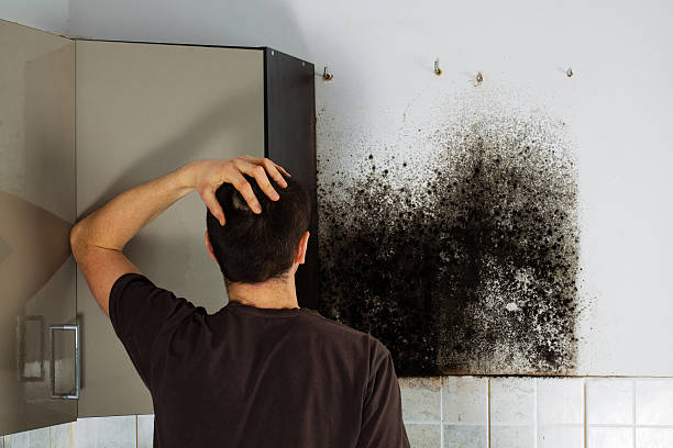 Best Home Mold Removal  in Magna, UT